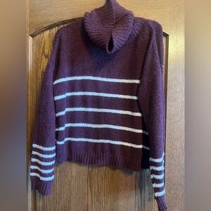 Moral Fiber Plum and White Striped Turtleneck Sweater